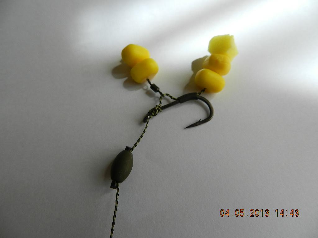 rig& baits !! - dscn1335.JPG